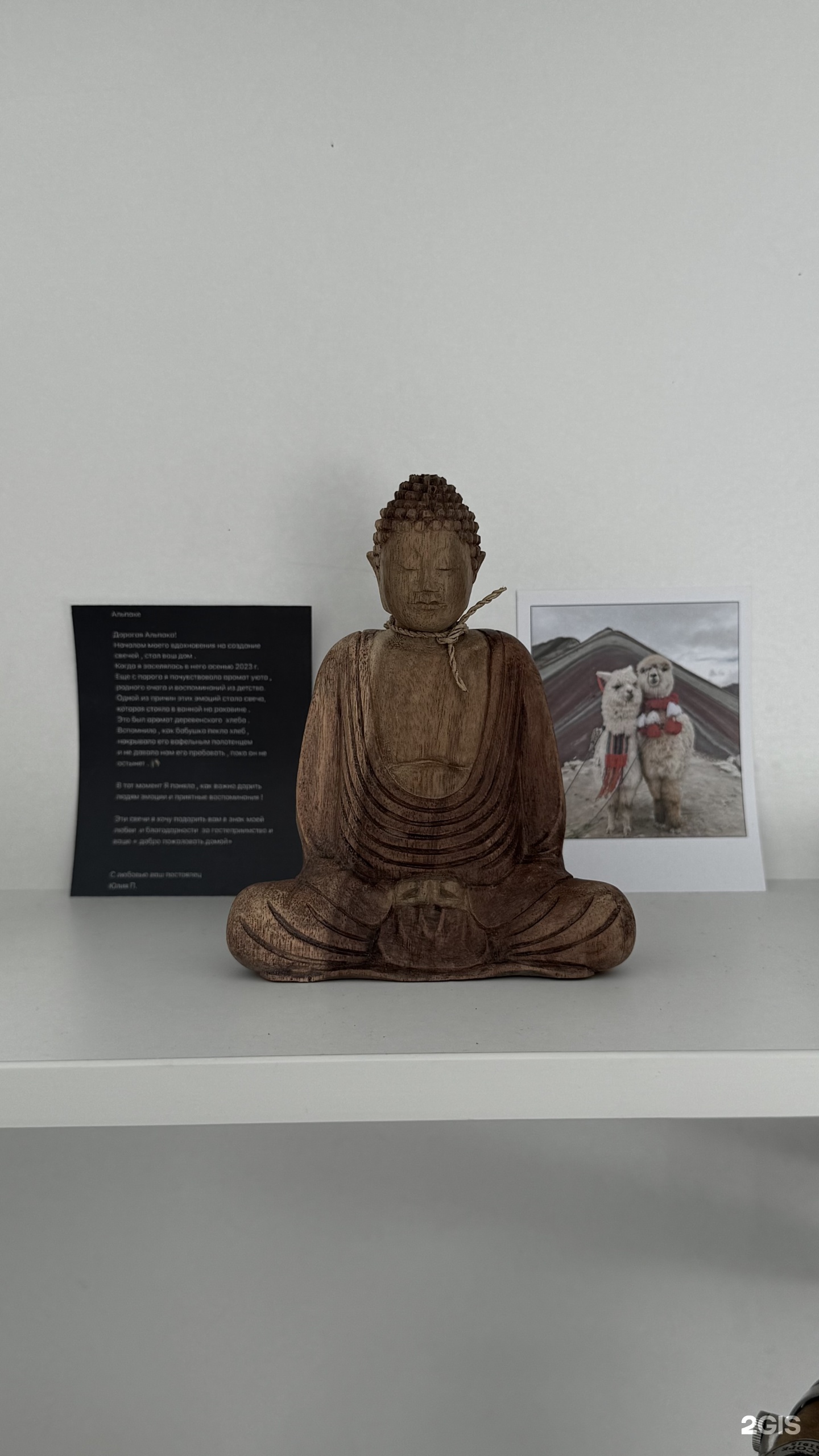 Альпака - фото 142