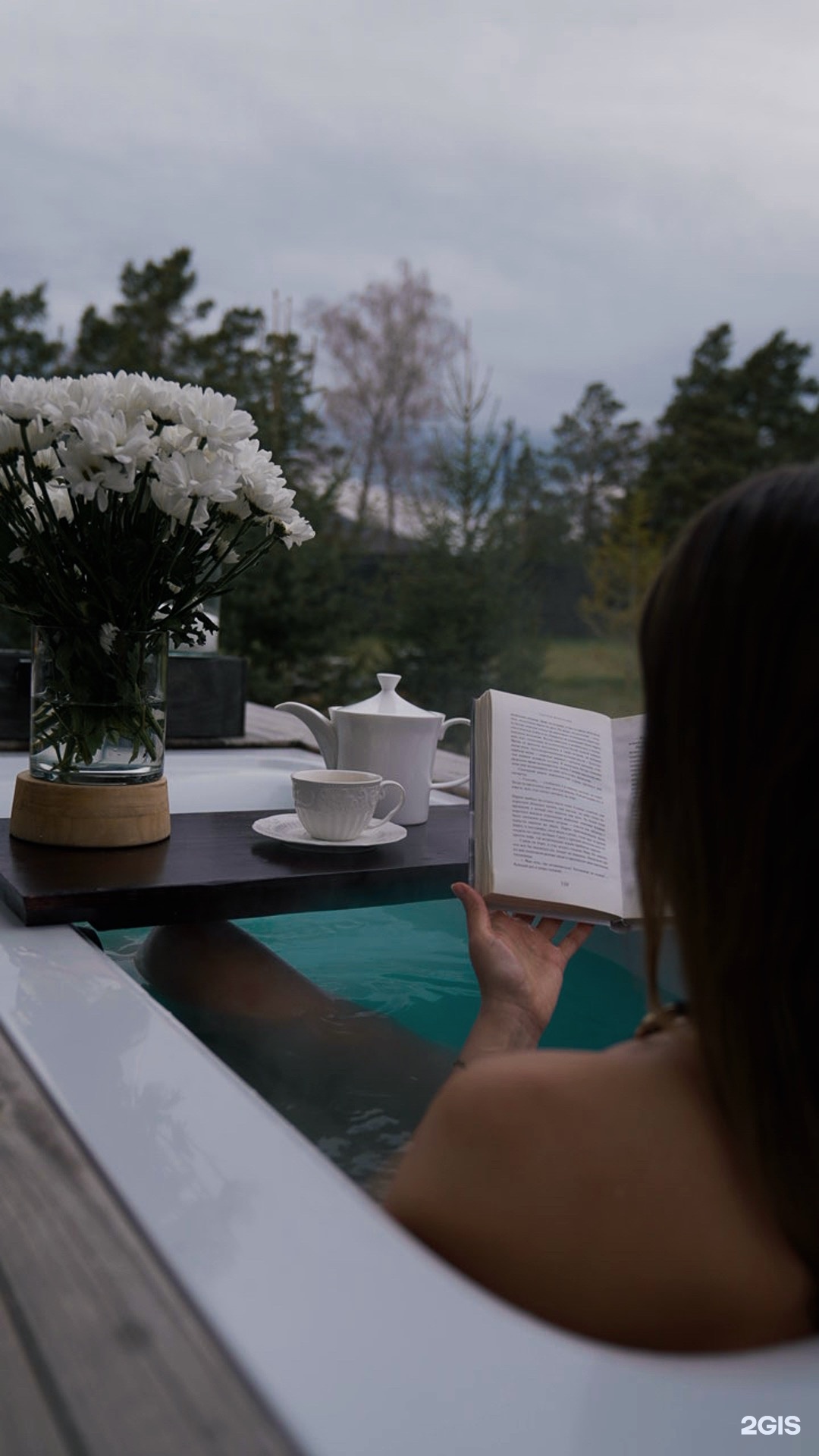 Альпака - фото 146