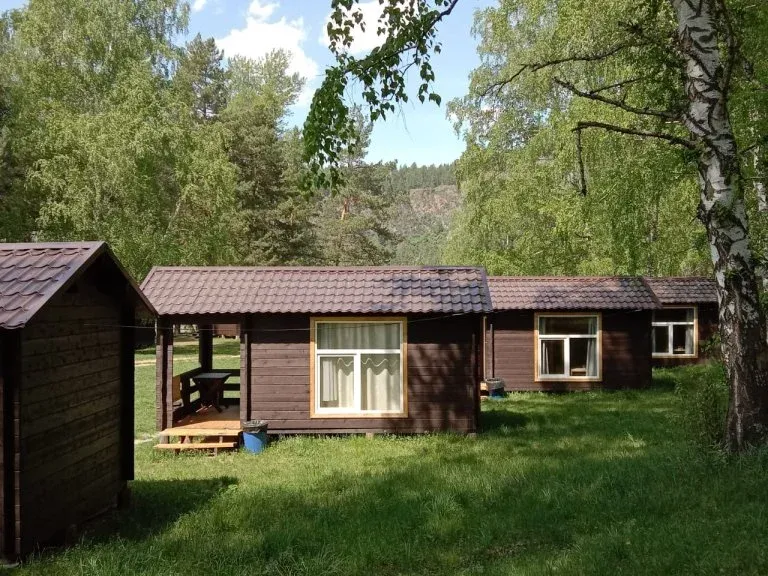 Ёлки Иголки - фото 1