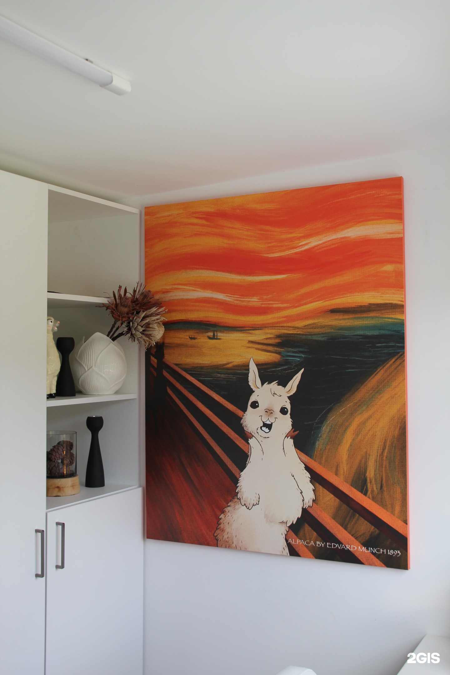 Альпака - фото 154