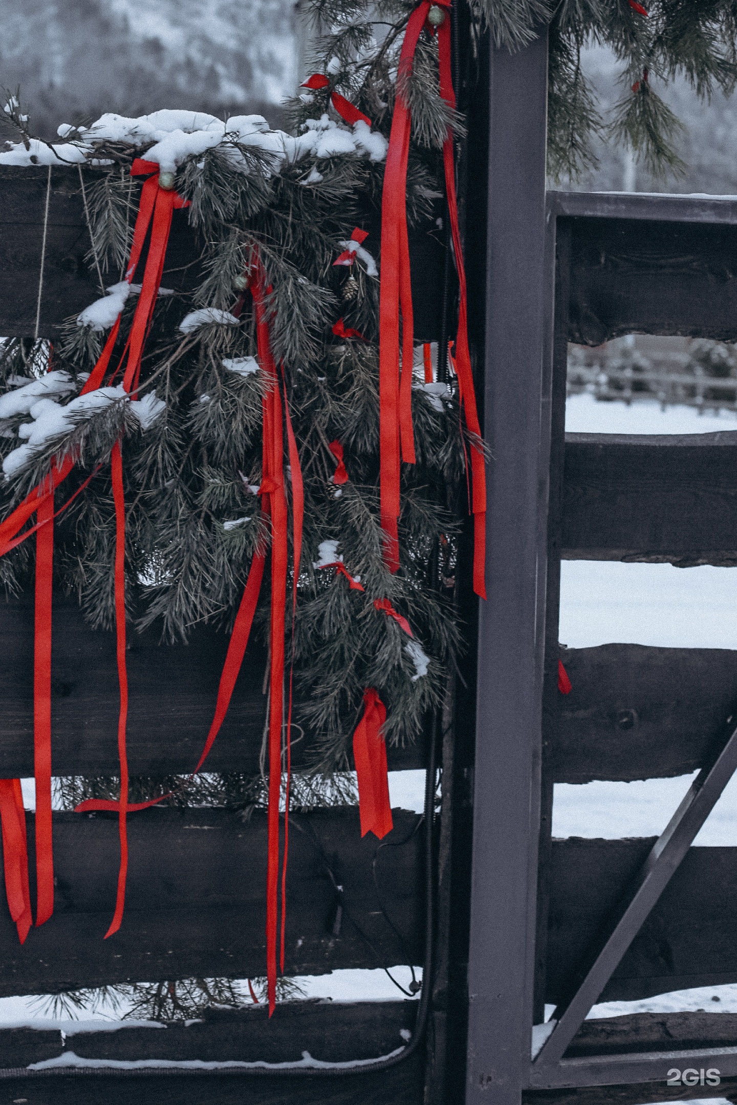 Альпака - фото 162