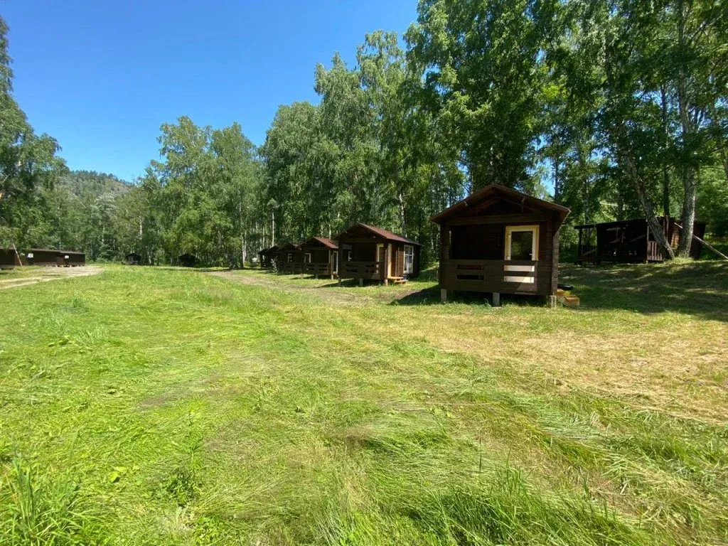 Ёлки Иголки - фото 2