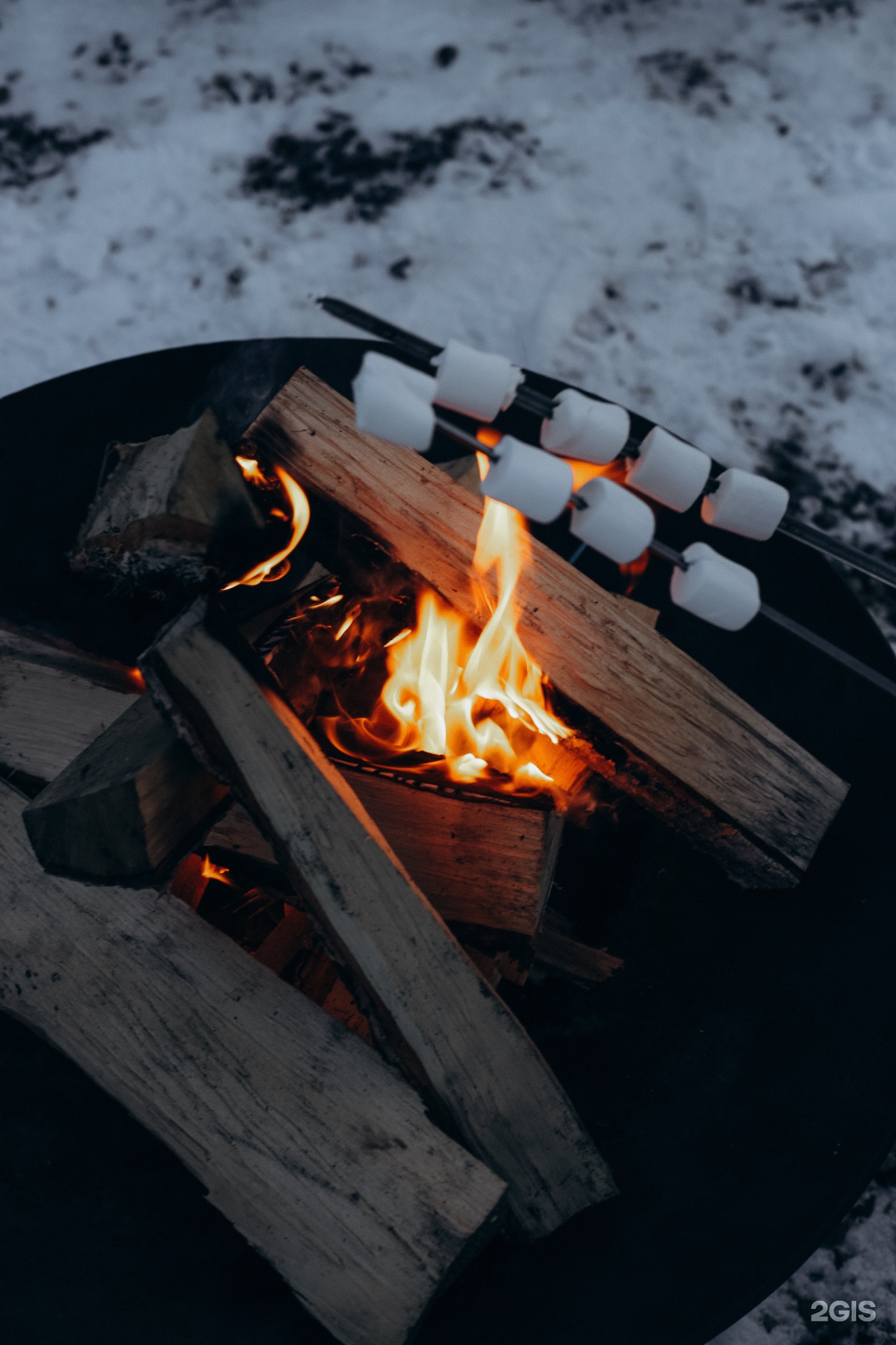 Альпака - фото 167