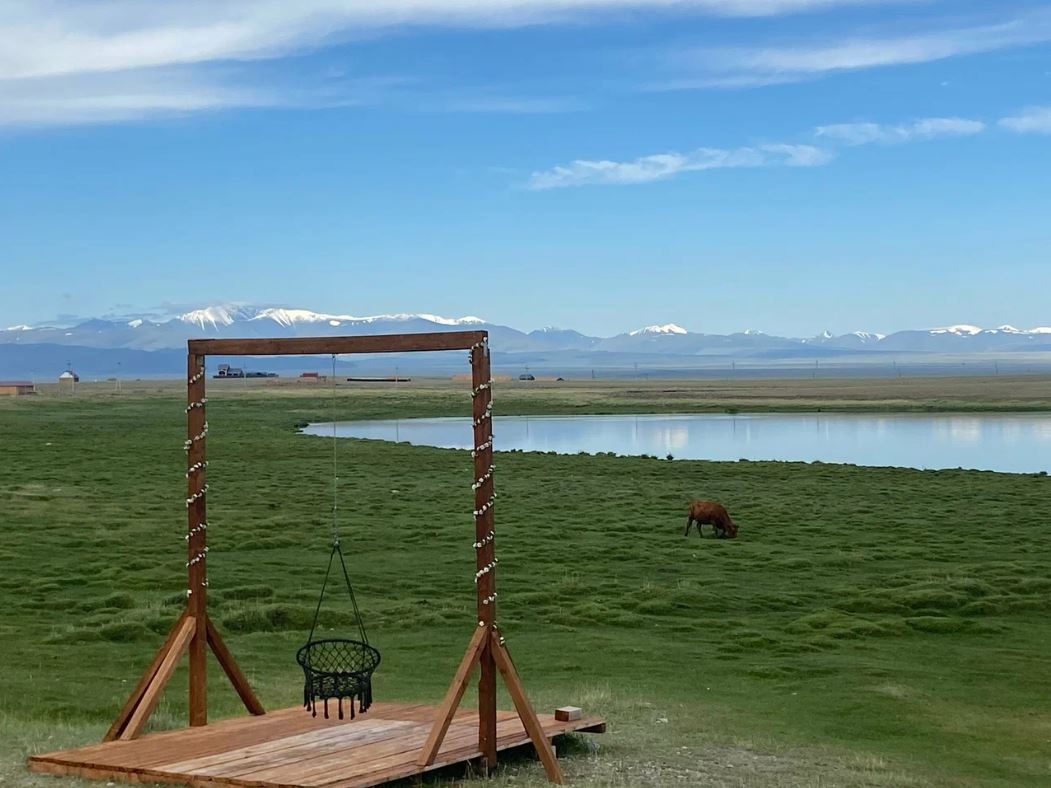 Архар - фото 16