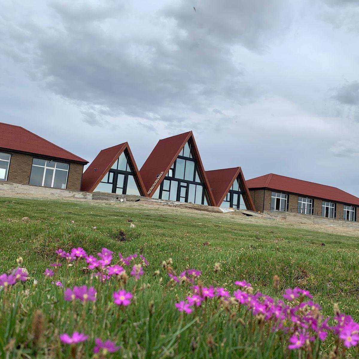 Архар - фото 26