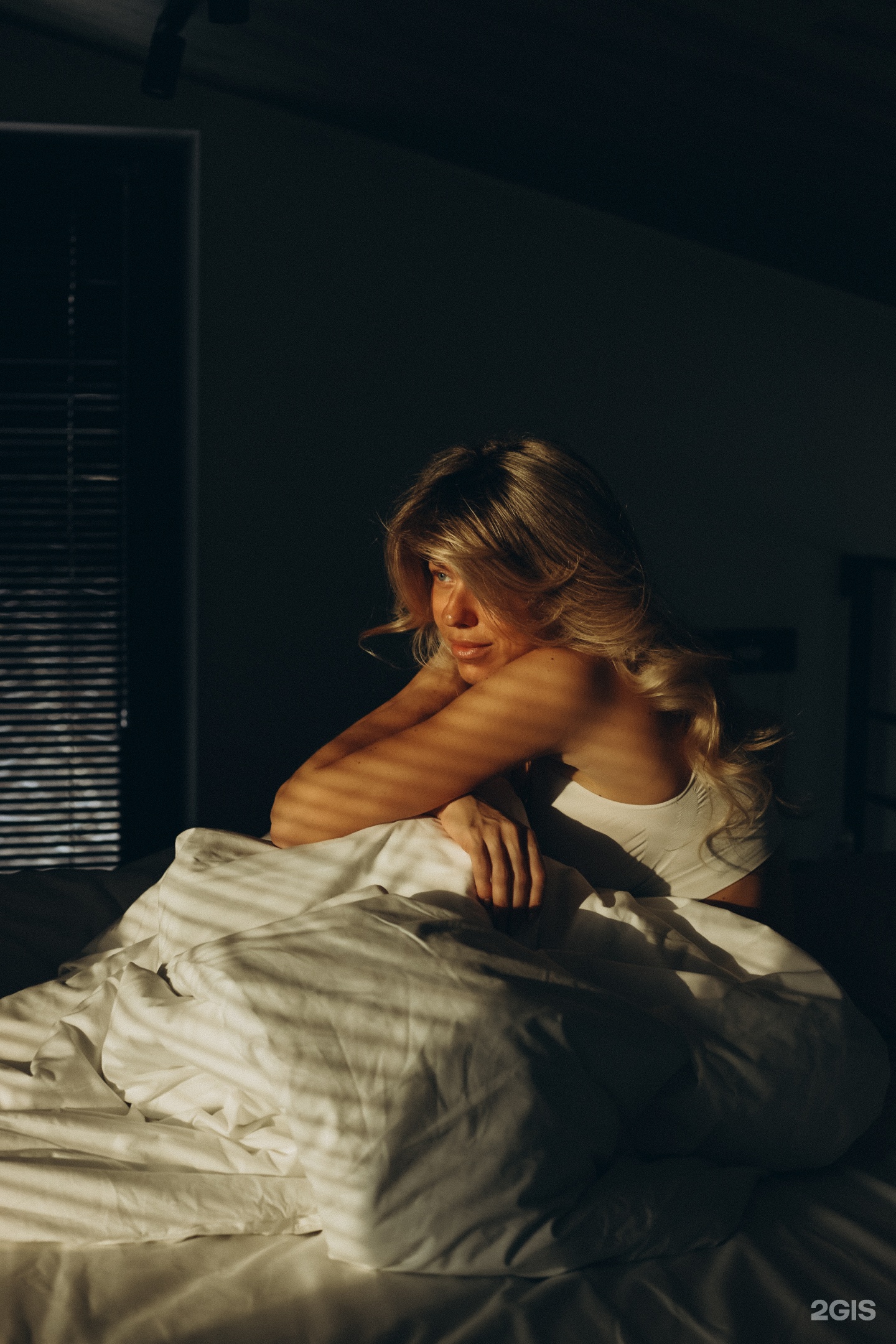 Альпака - фото 169