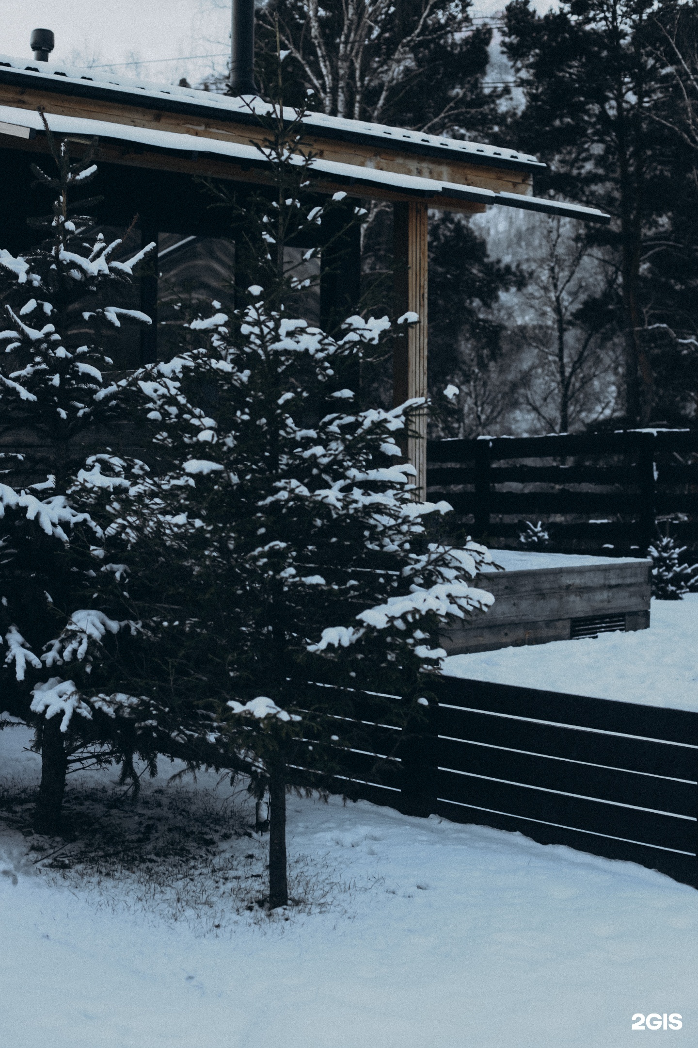 Альпака - фото 170