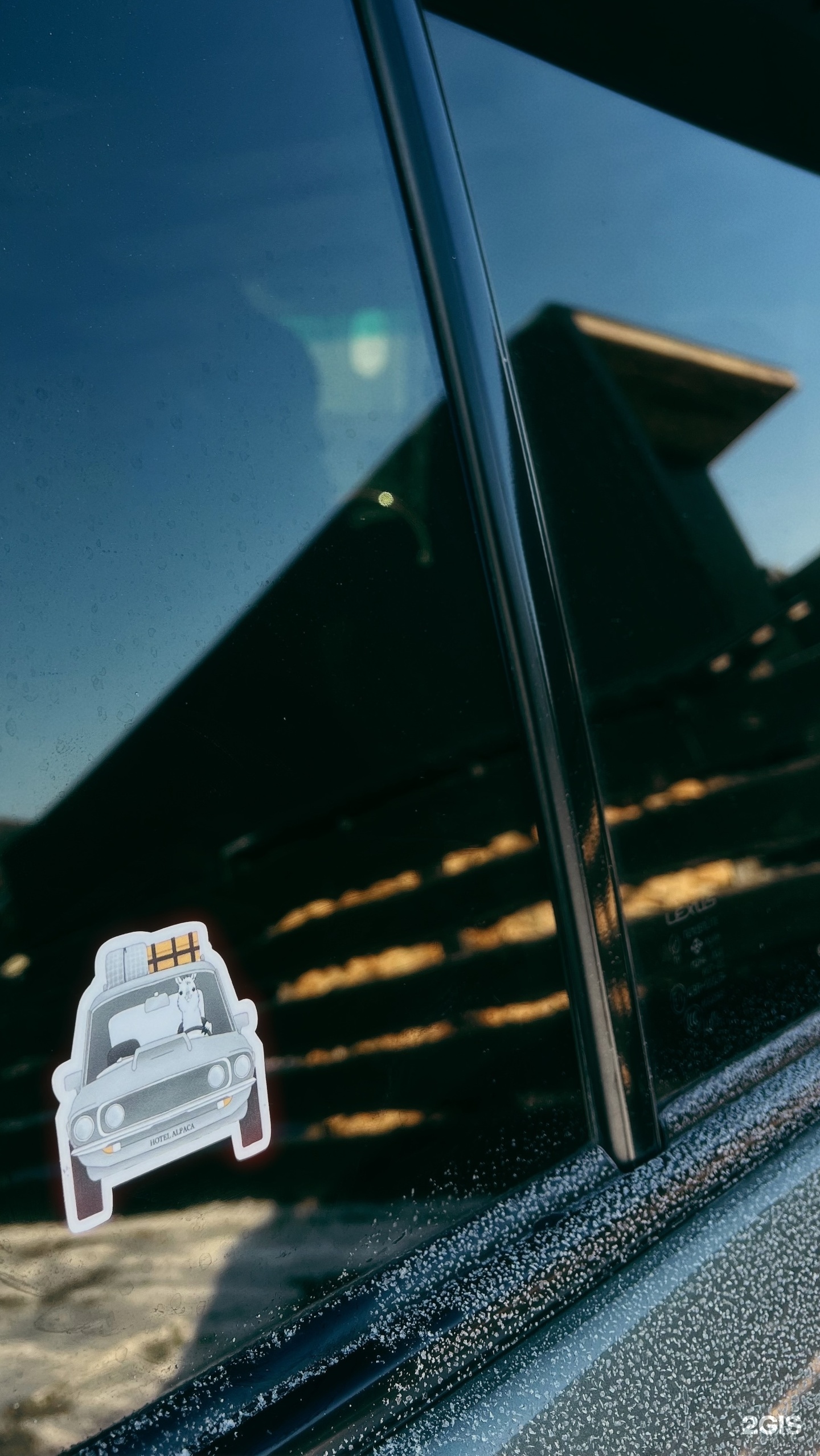 Альпака - фото 171