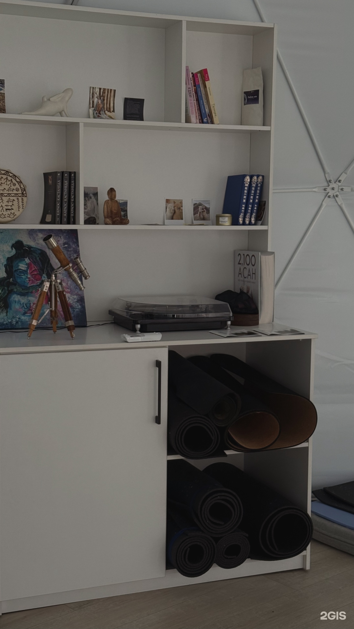 Альпака - фото 180