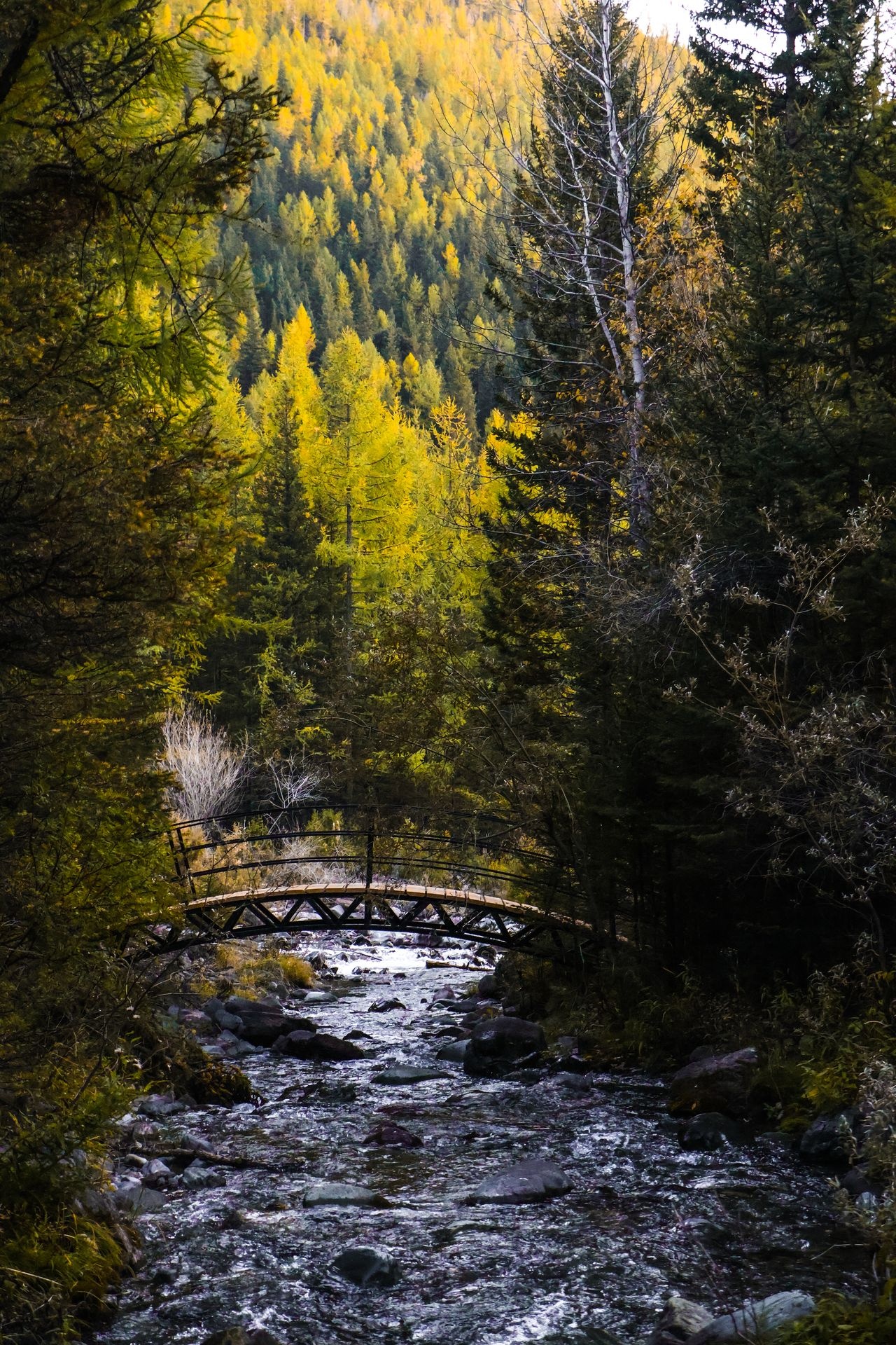 Речные земли - фото 26