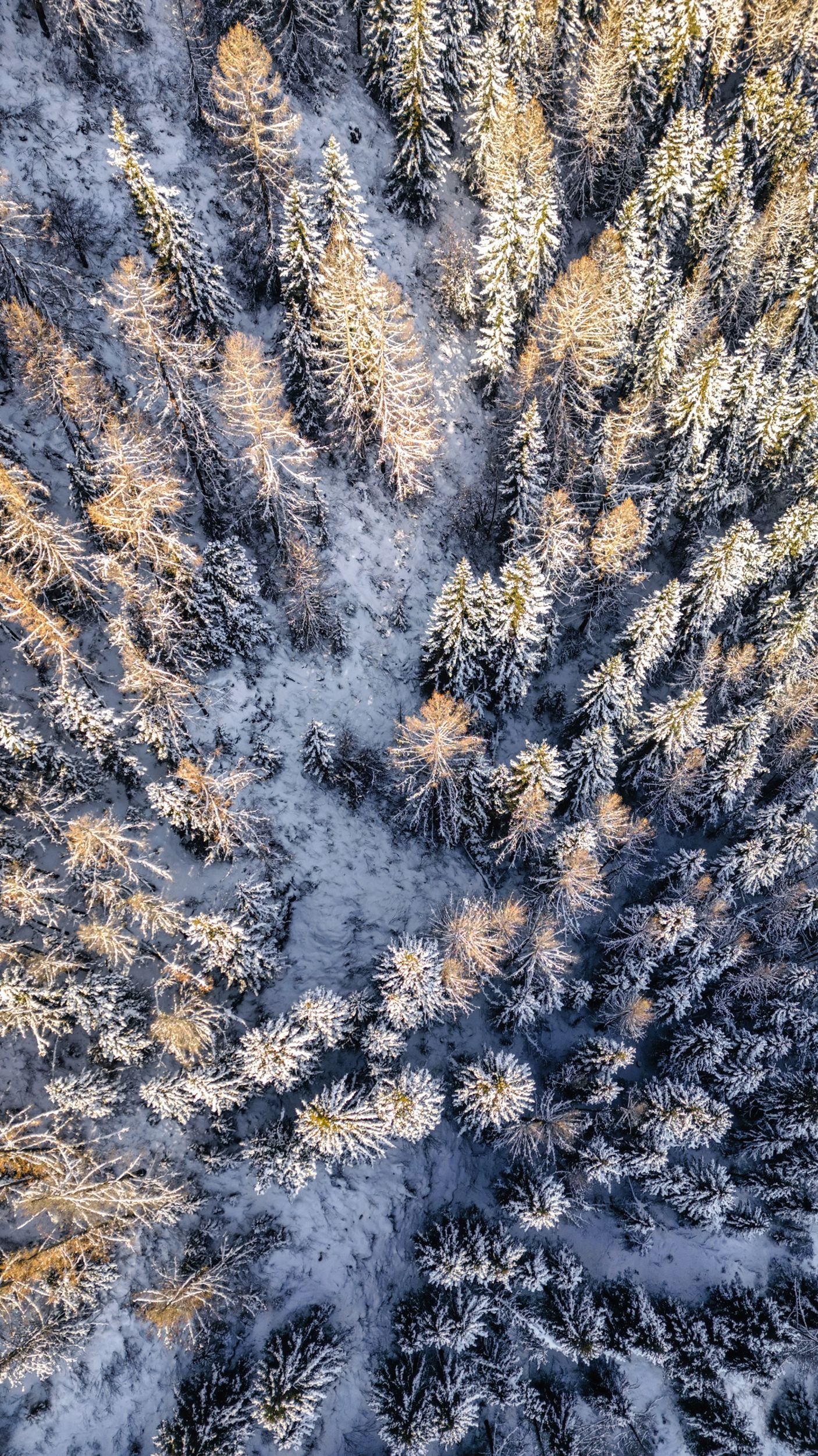 Речные земли - фото 34