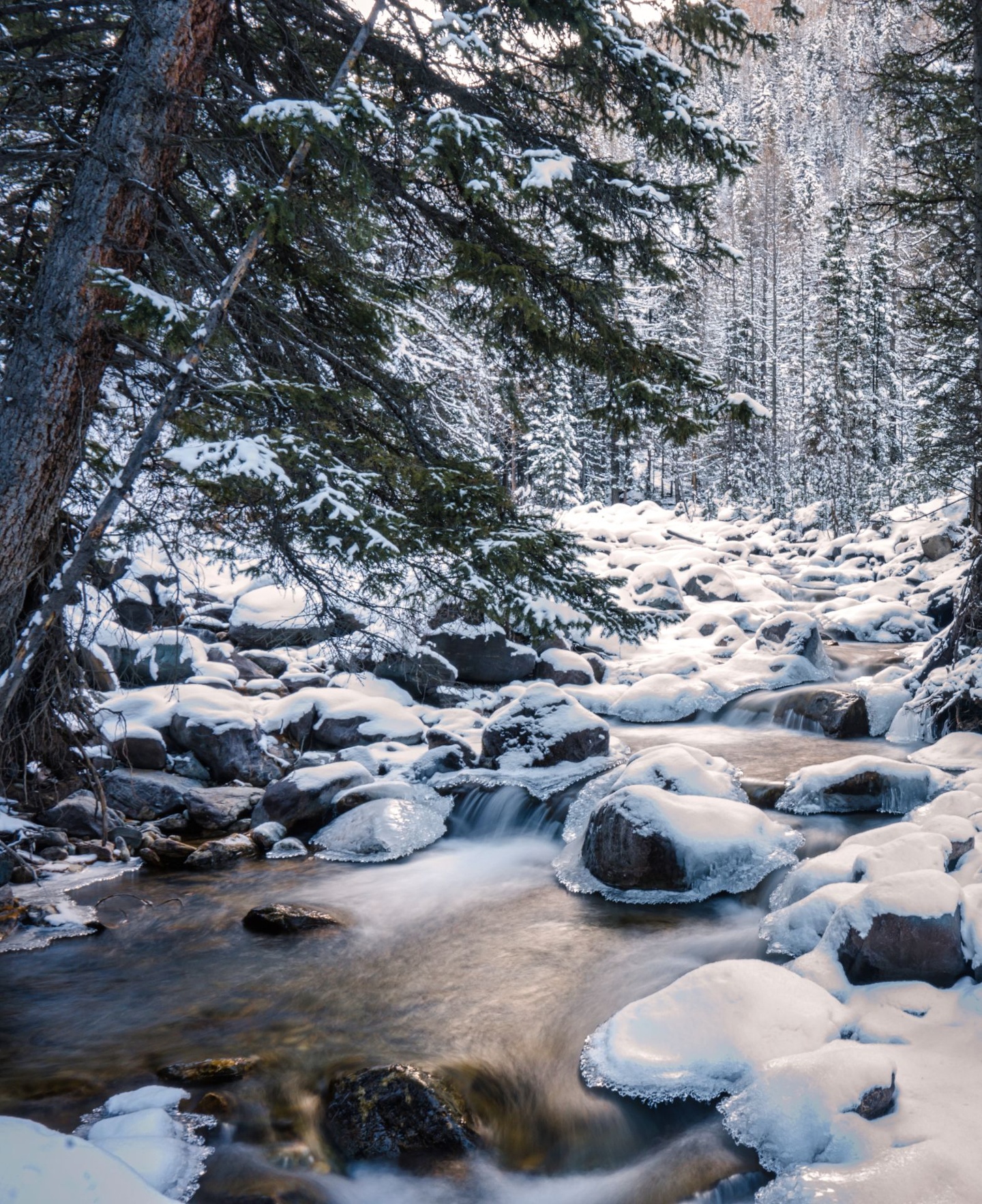 Речные земли - фото 41