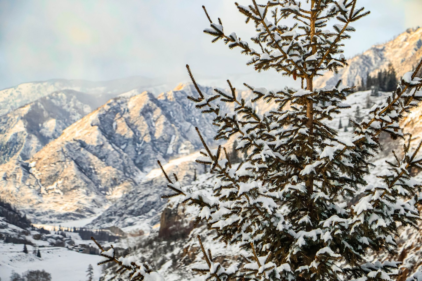 Речные земли - фото 50