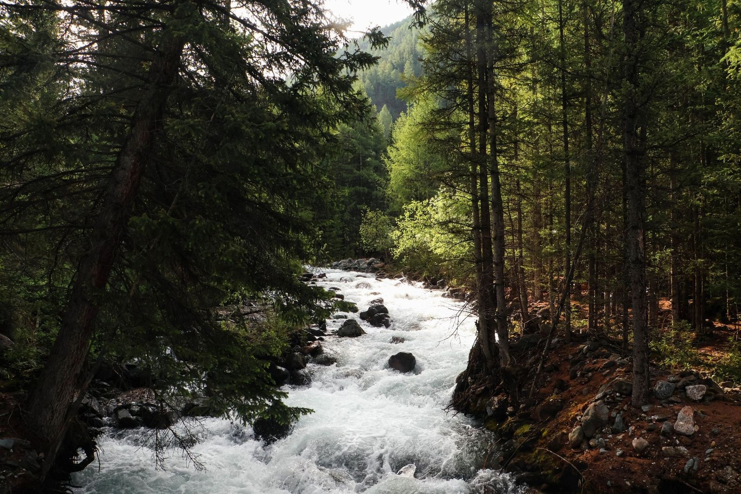 Речные земли - фото 52