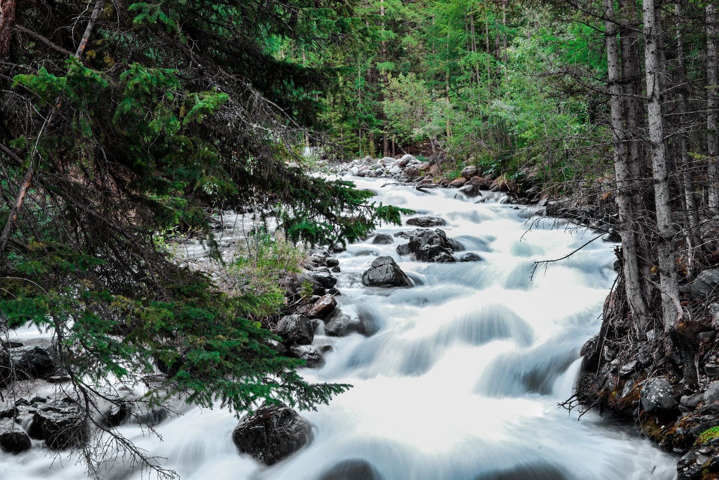 Речные земли - фото 55