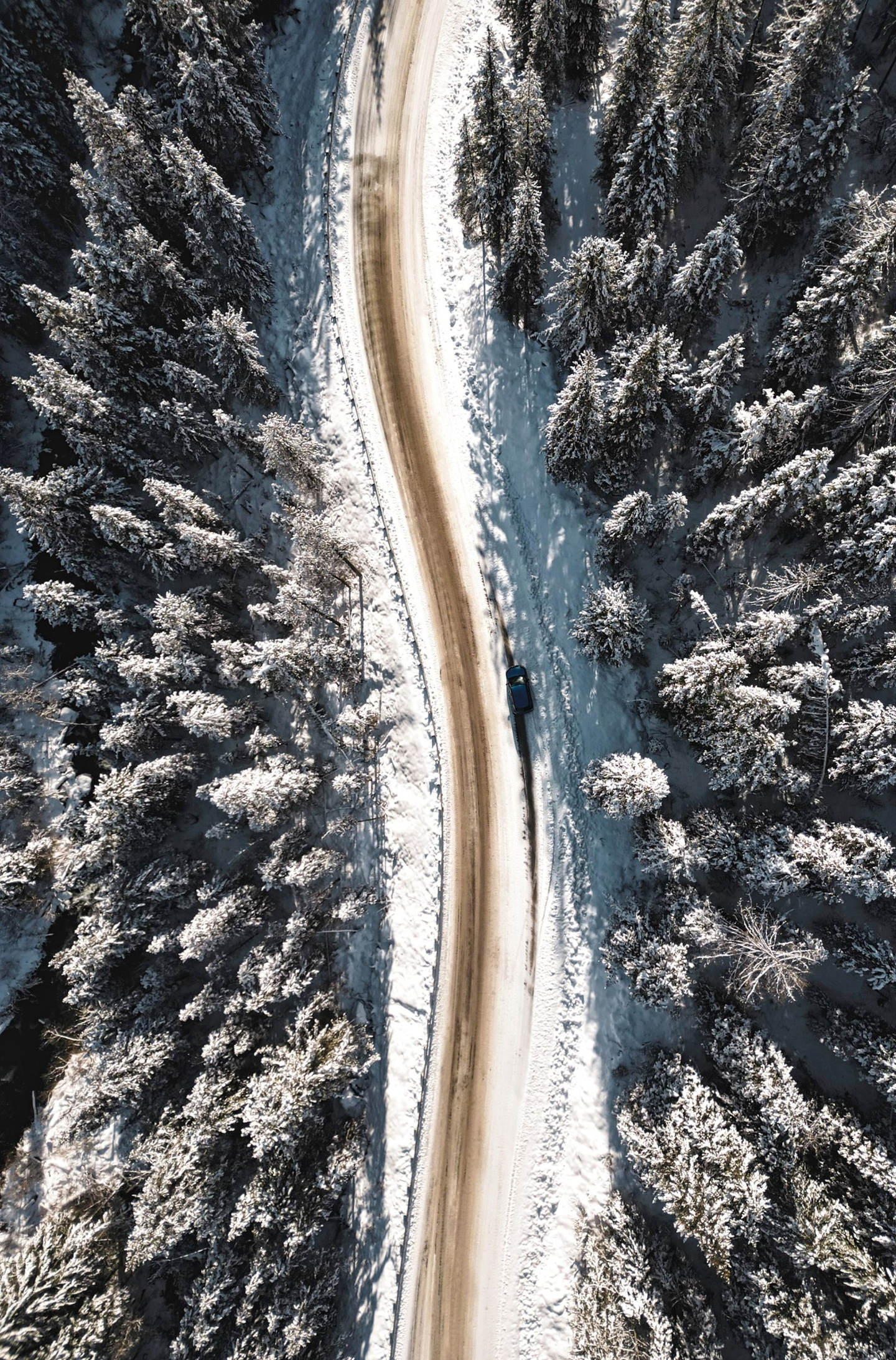 Речные земли - фото 56