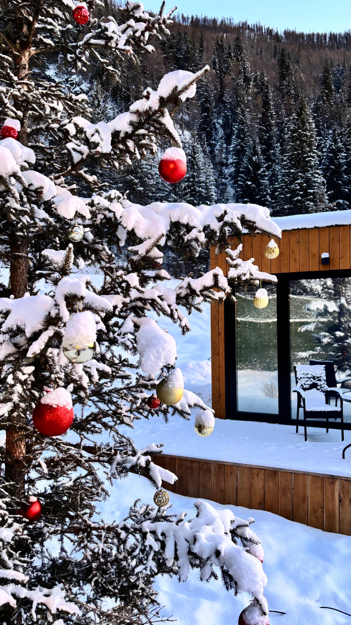 Речные земли - фото 57