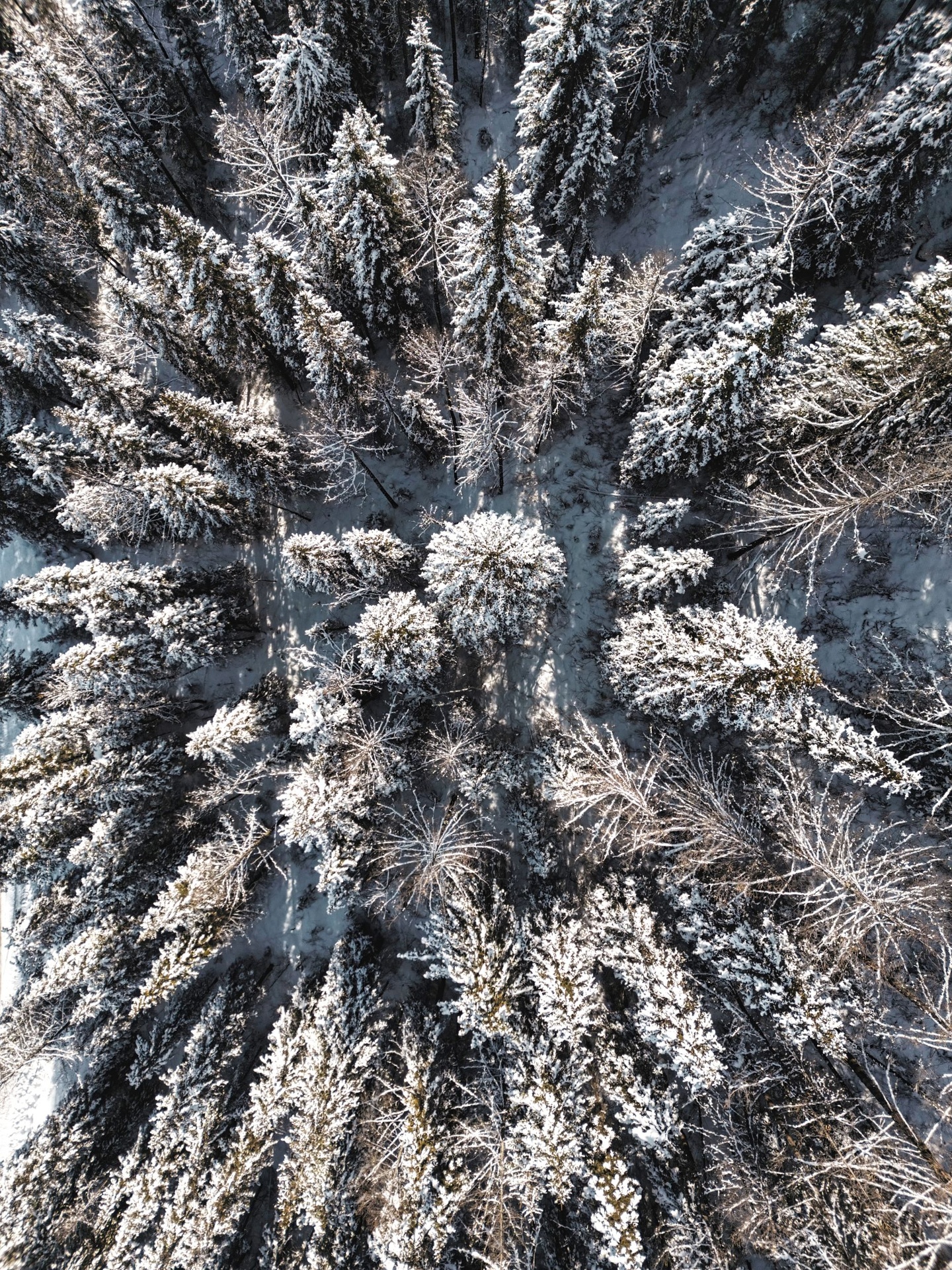 Речные земли - фото 67