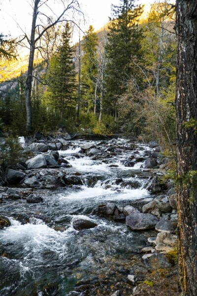 Стандарт (две односпальные кровати) - фото 19