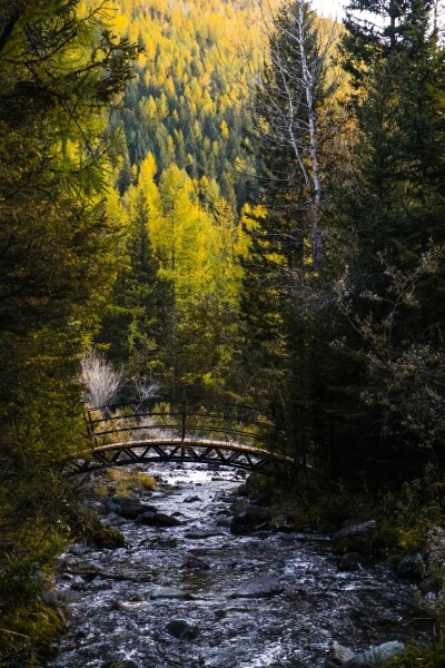 Стандарт (одна двуспальная кровать) - фото 16