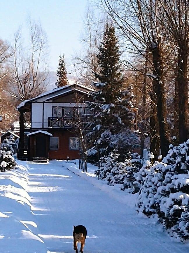 Колибри - фото 12