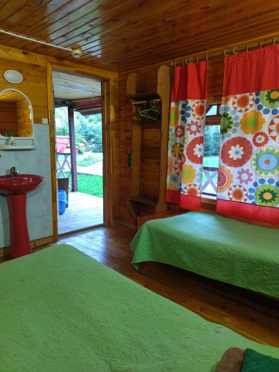 Колибри - фото 15