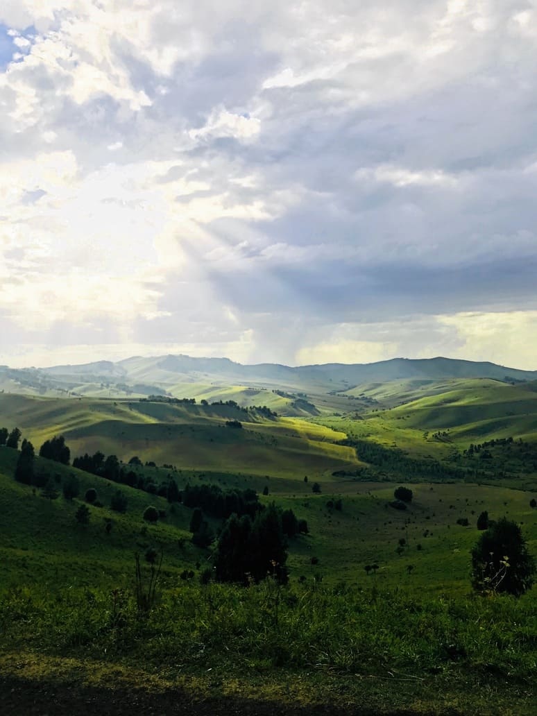 Колибри - фото 19