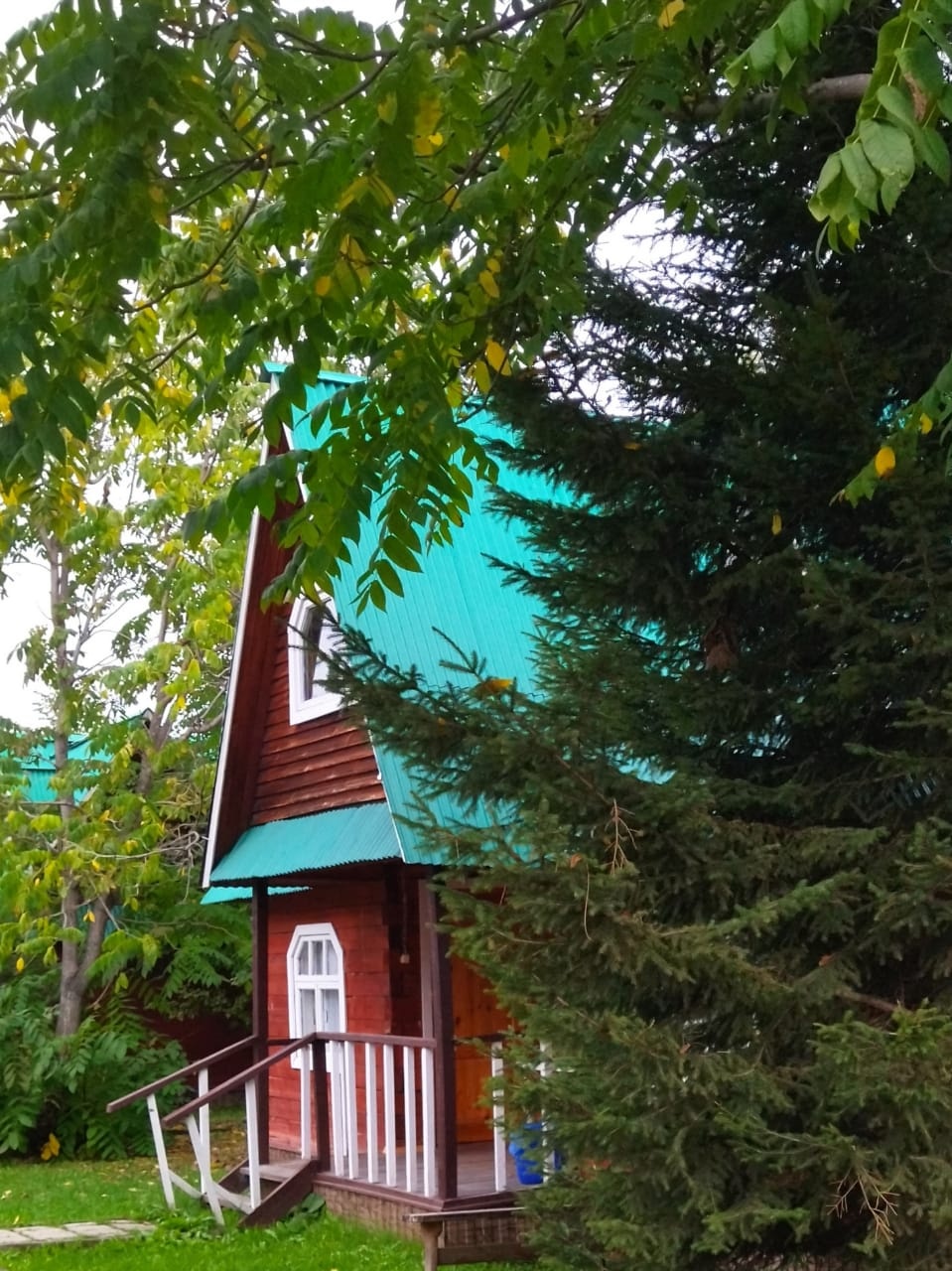 Колибри - фото 24