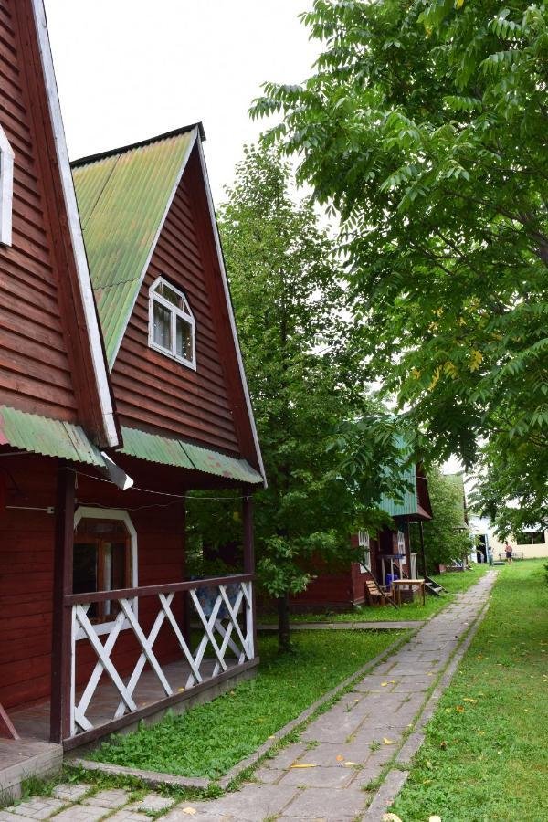 Колибри - фото 26