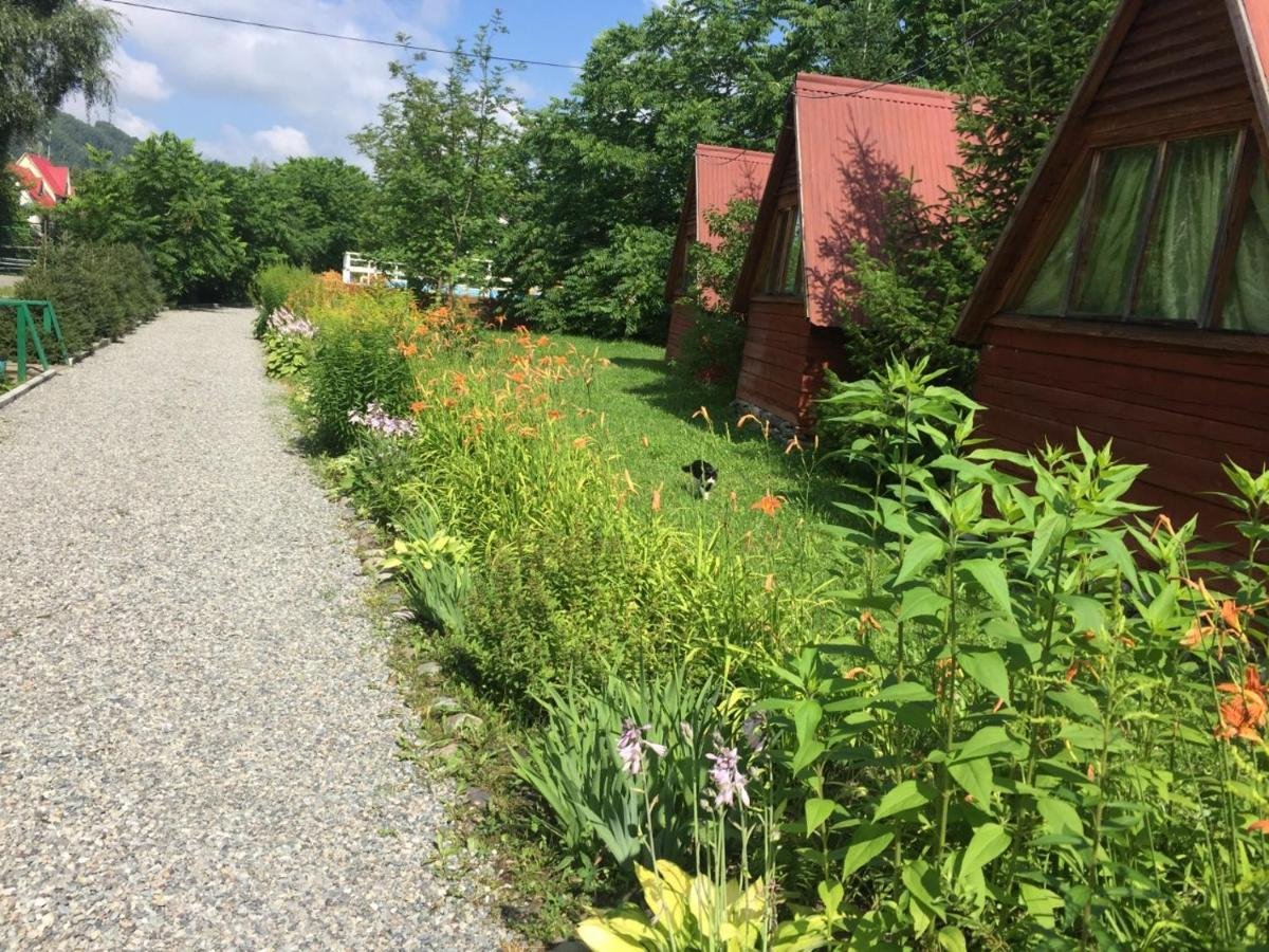 Колибри - фото 27