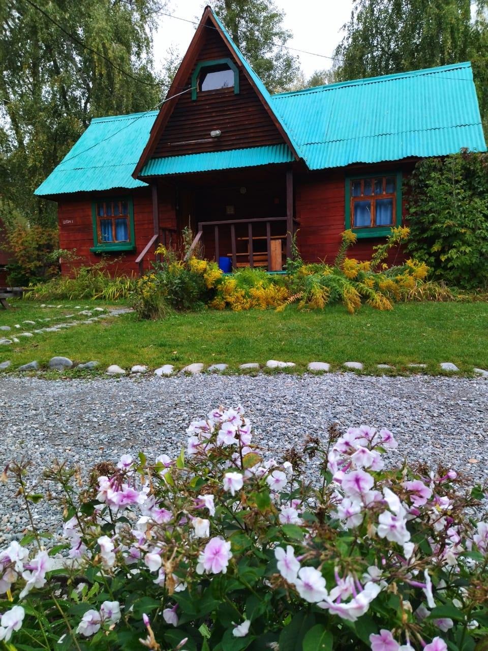 Колибри - фото 30