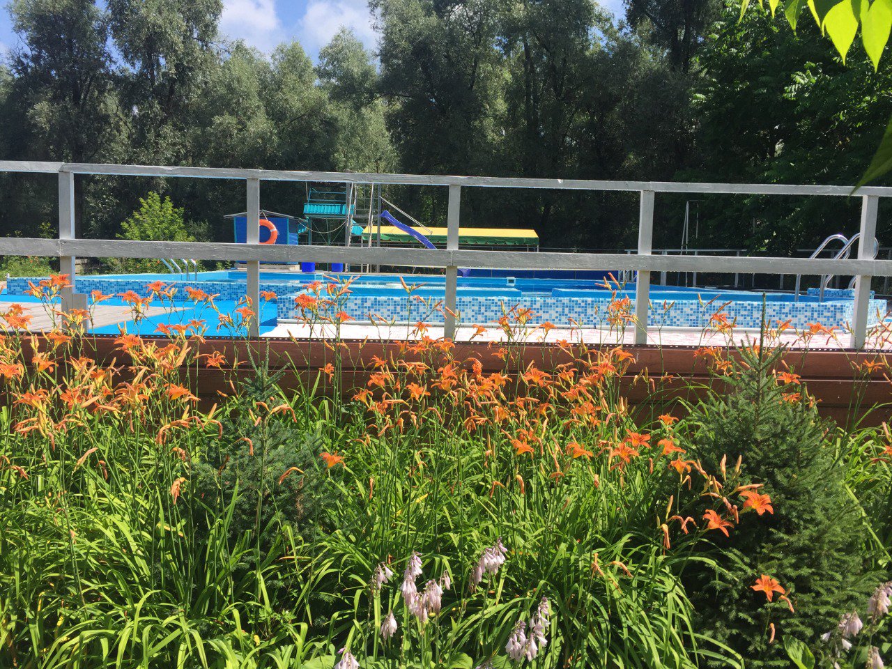 Колибри - фото 34