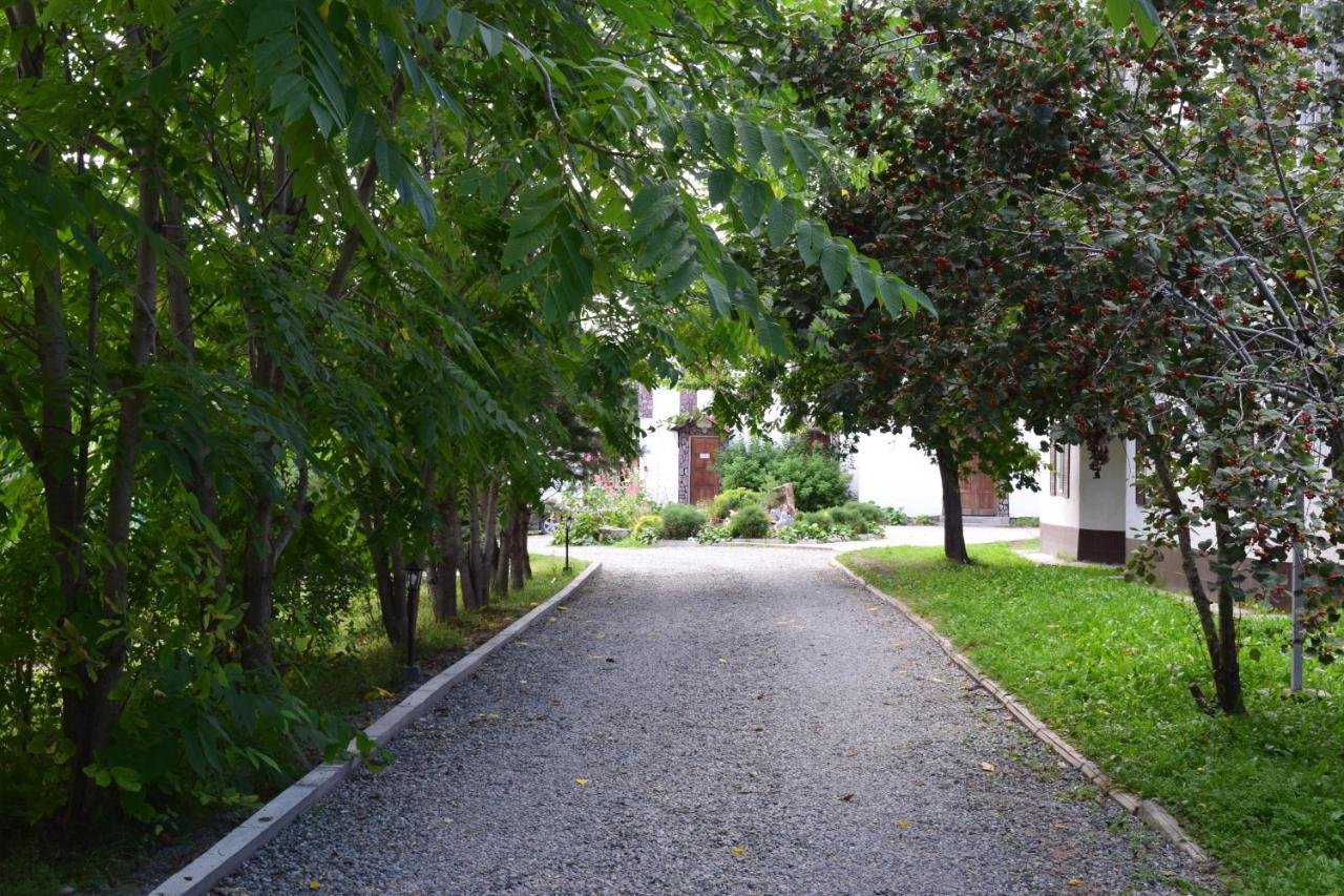 Колибри - фото 35