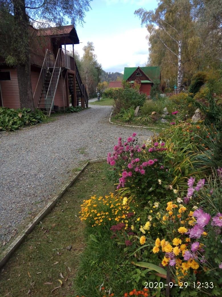 Колибри - фото 36