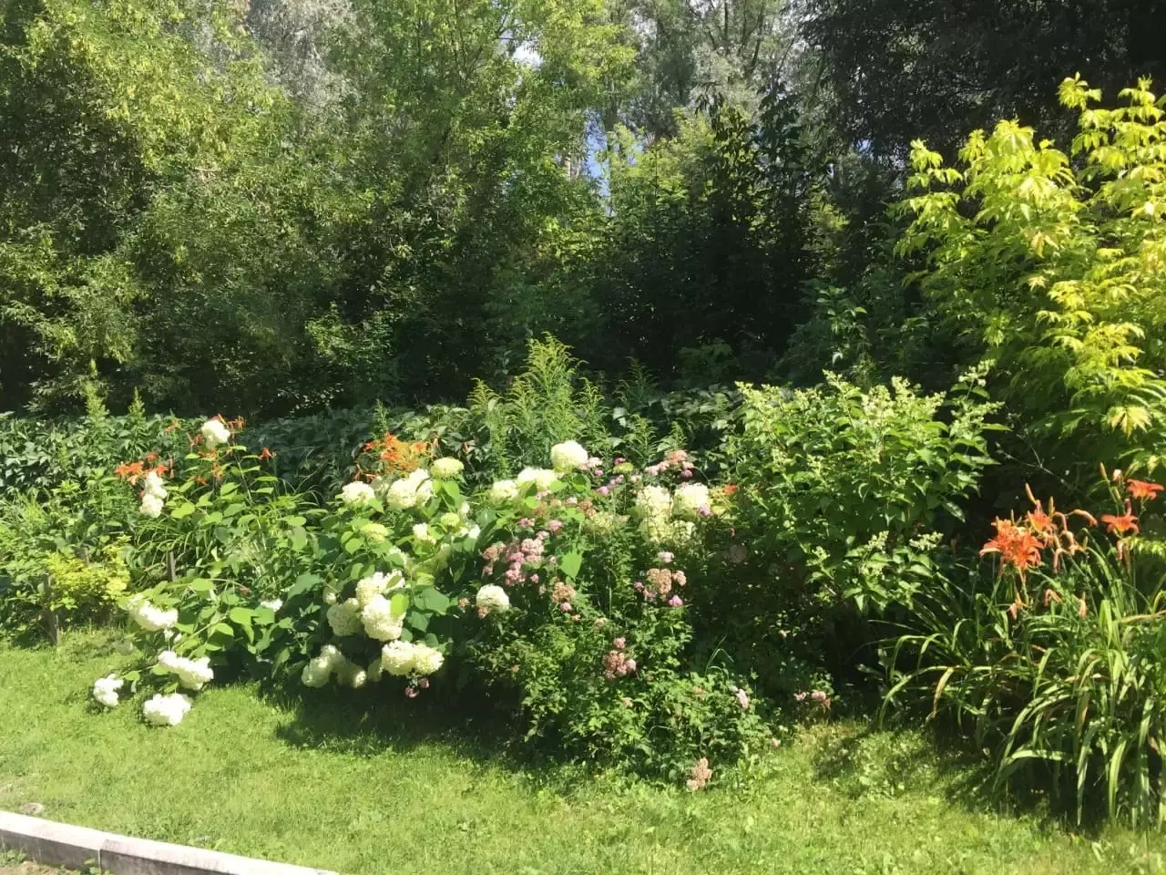 Колибри - фото 37