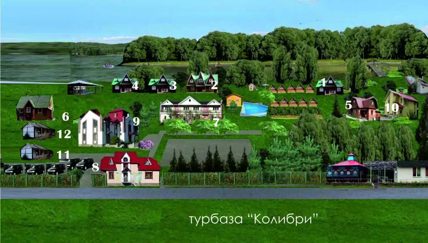 Колибри - фото 38