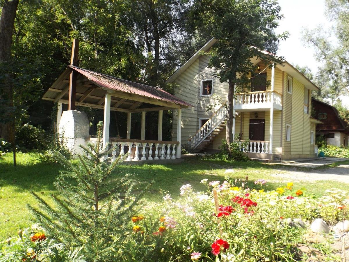 Колибри - фото 40