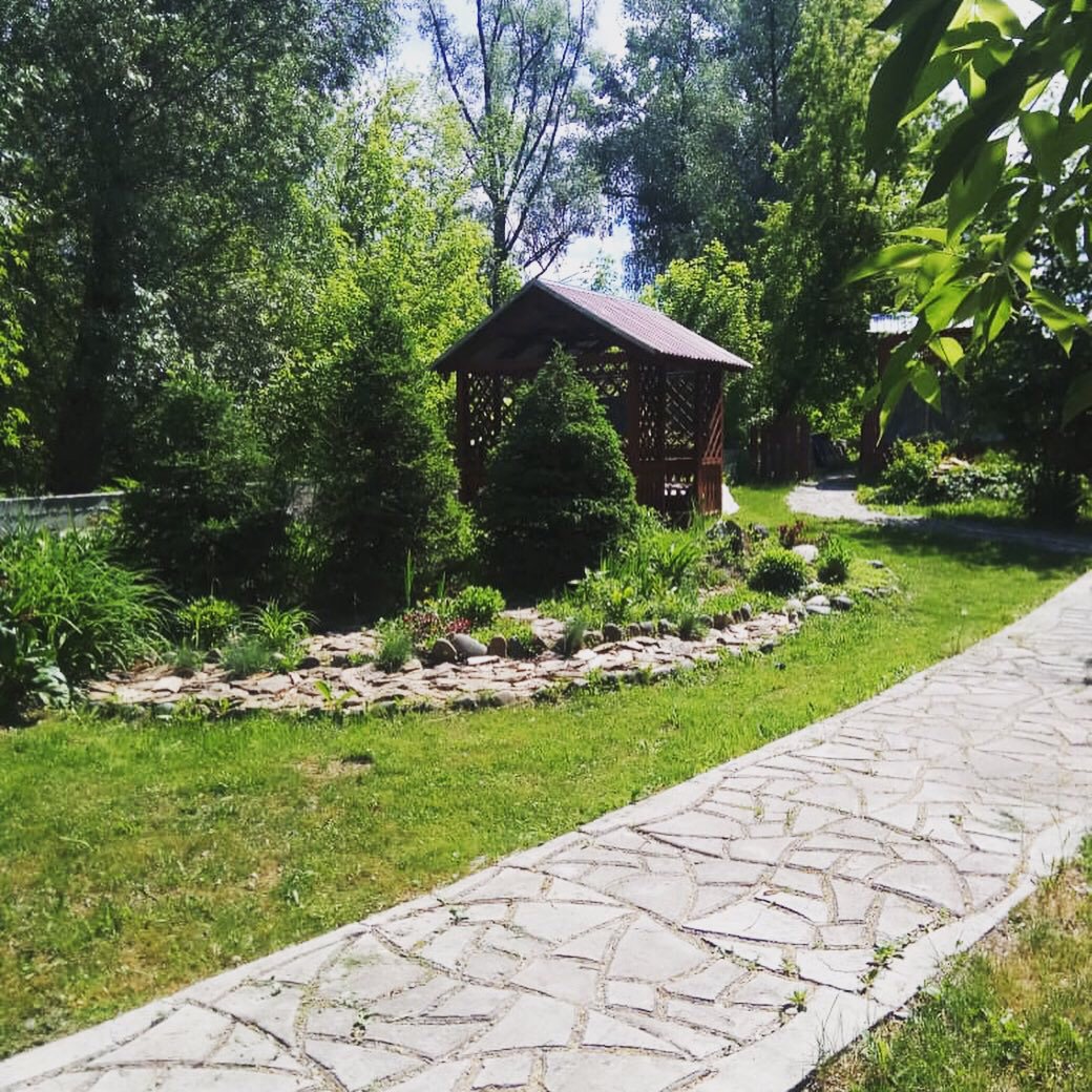 Колибри - фото 41