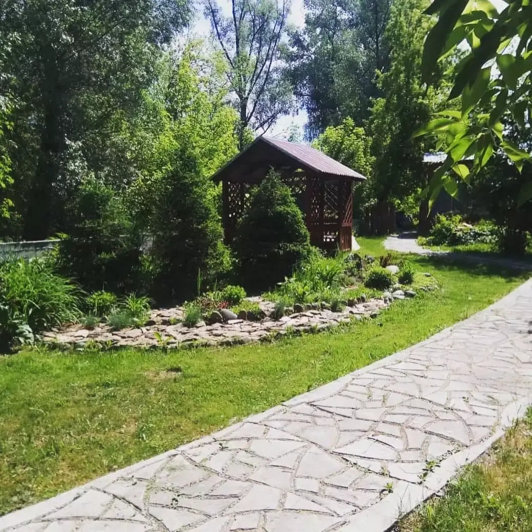 Колибри - фото 46