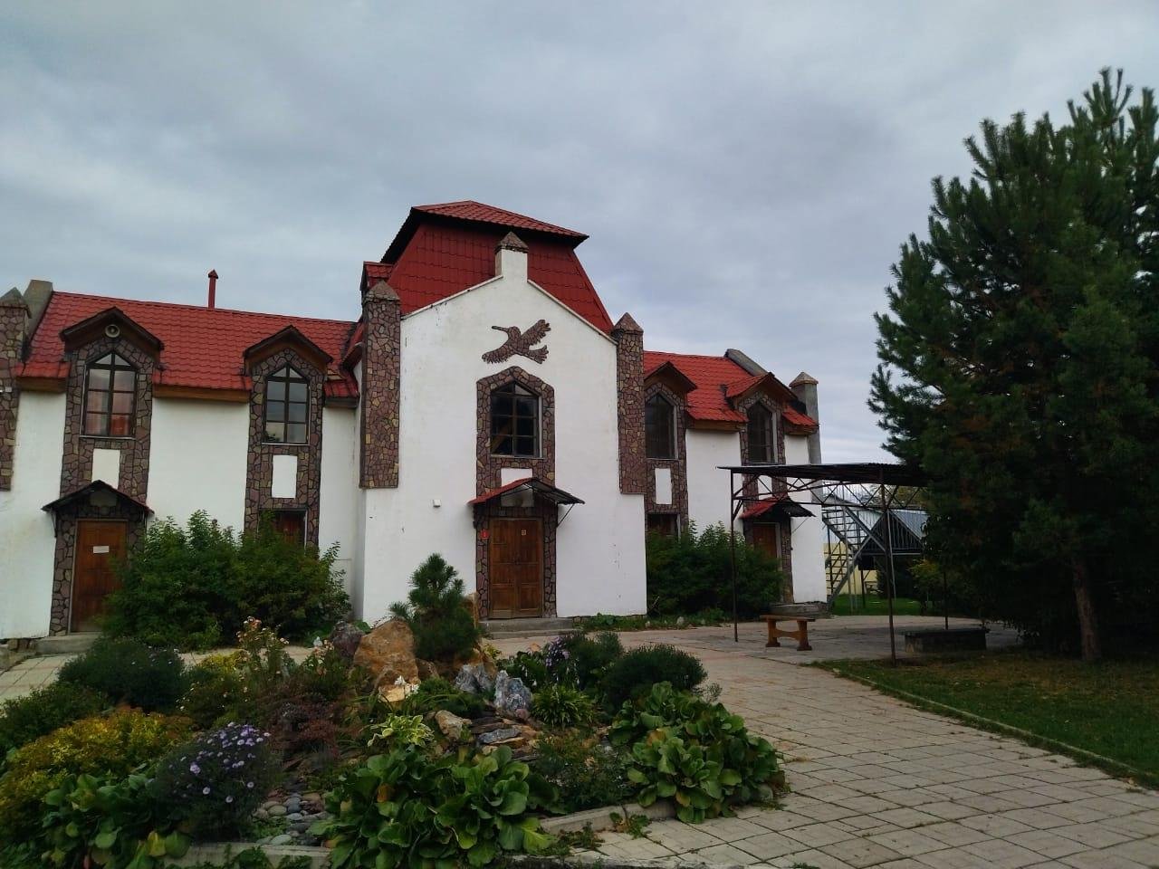 Колибри - фото 54