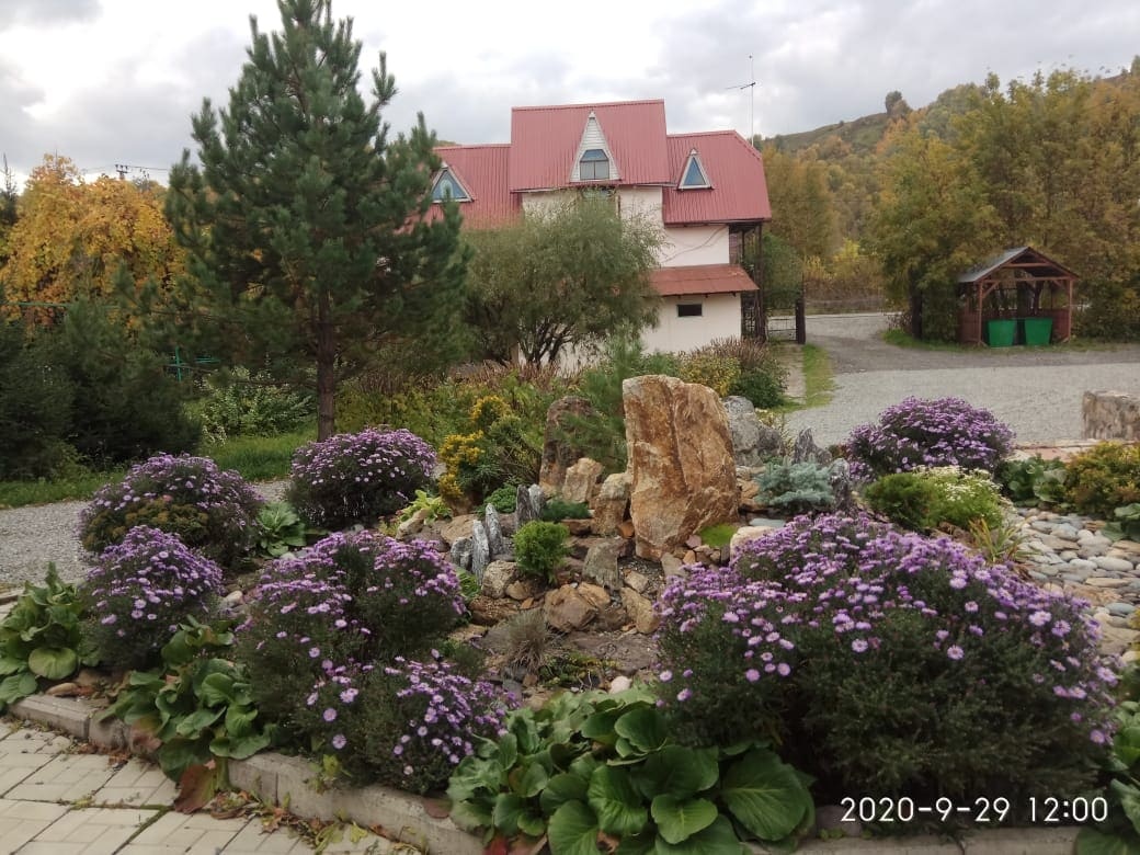 Колибри - фото 59