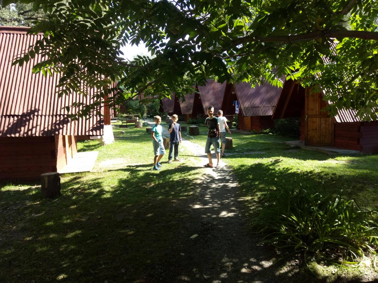 Колибри - фото 62