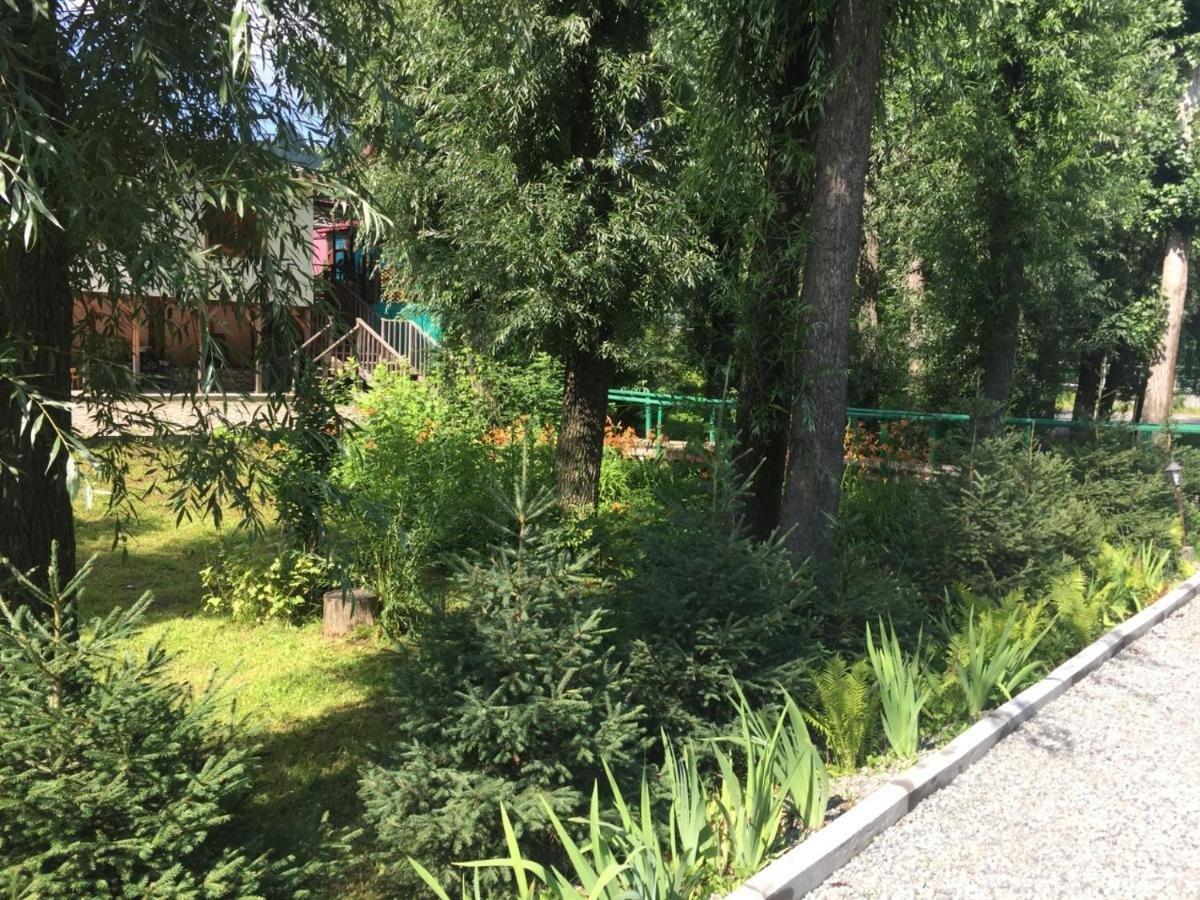 Колибри - фото 66