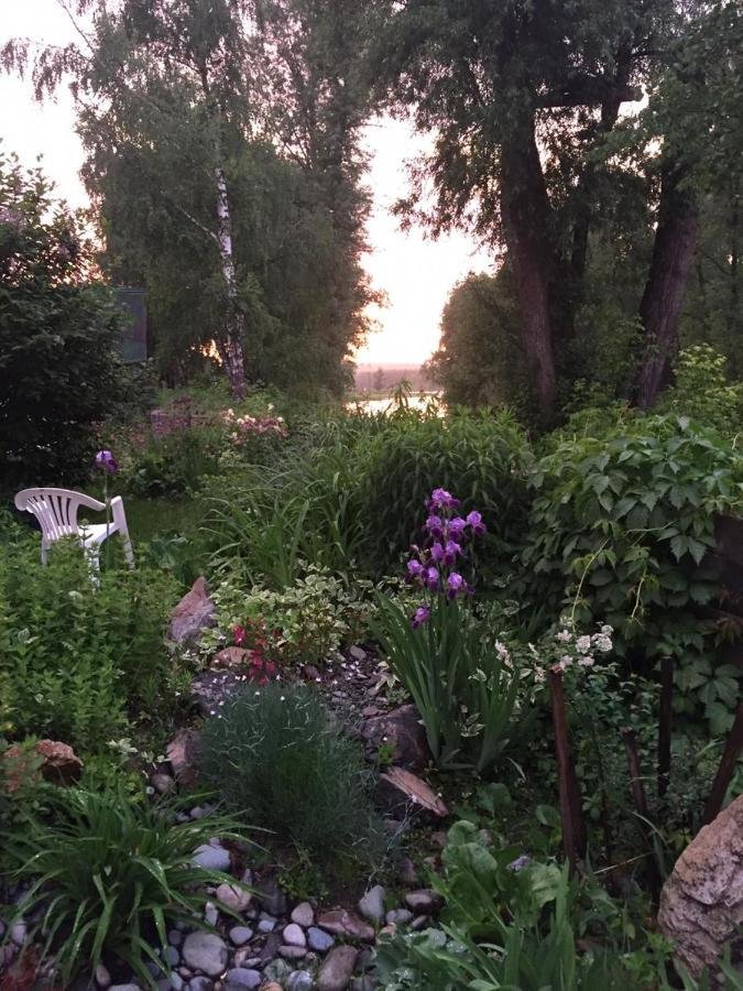 Колибри - фото 67