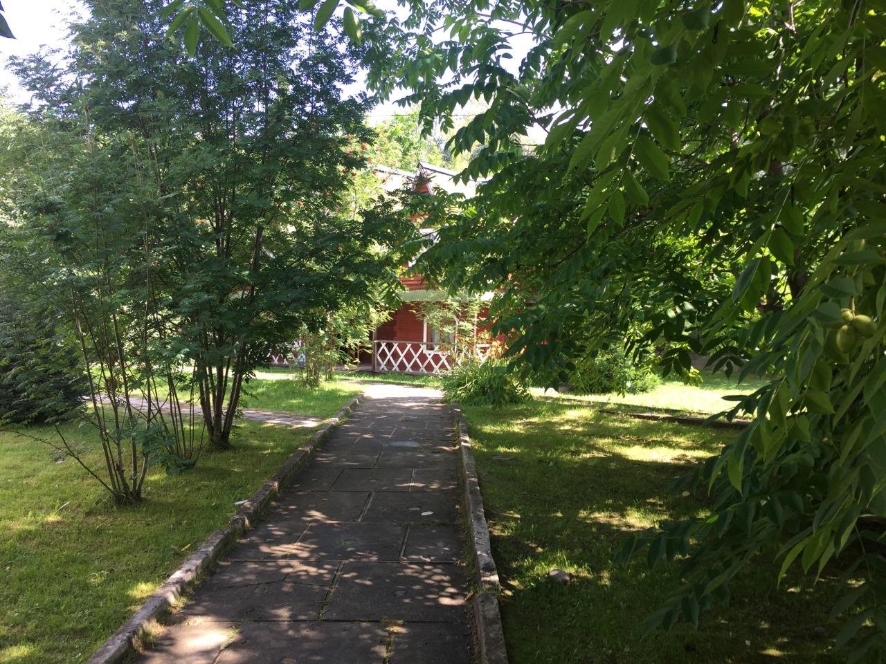 Колибри - фото 69