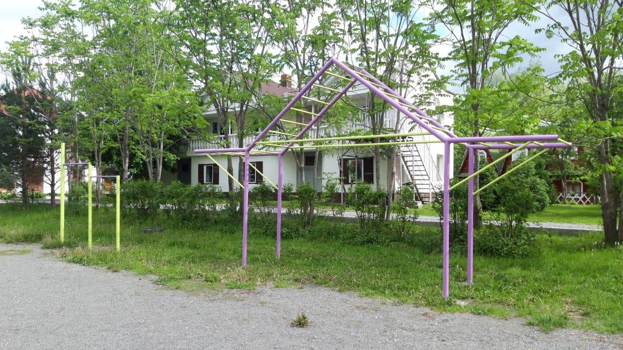 Колибри - фото 71