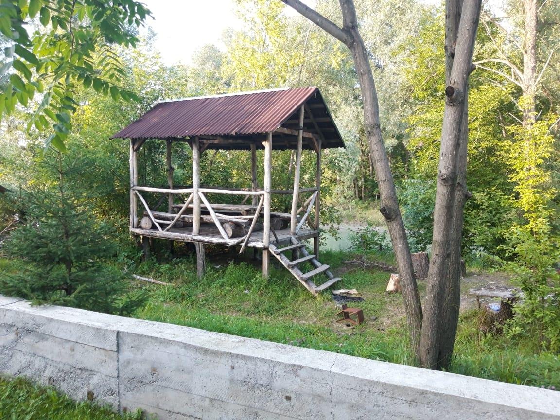 Колибри - фото 73