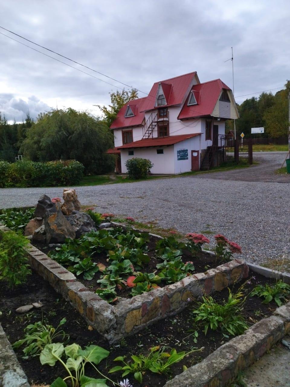 Колибри - фото 74