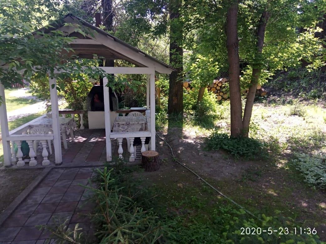 Колибри - фото 78