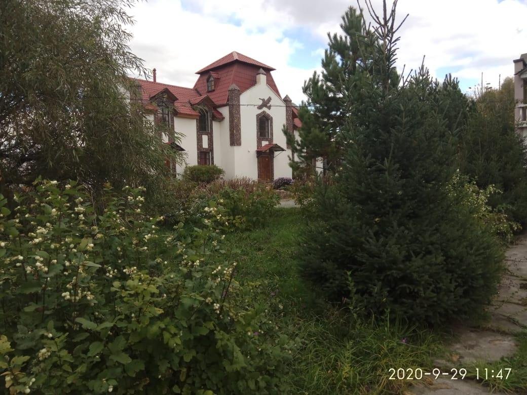 Колибри - фото 97